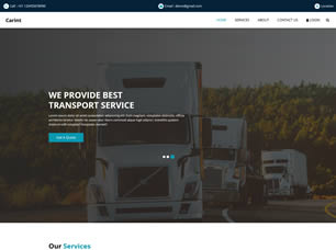 Carint - Website Template