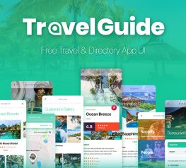 Travel Directory App UI Design