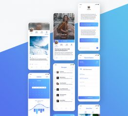 Mentor App UI Design